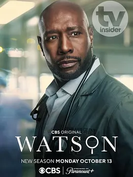 华生 第二季 Watson Season 2
