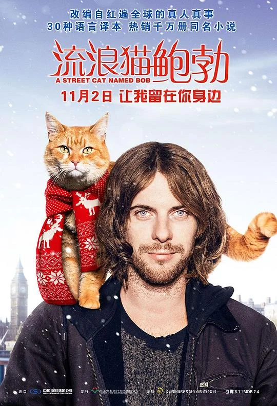 流浪猫鲍勃 街角遇见猫(港) / 遇见街猫BOB(台) / 一只名叫鲍勃的流浪猫 / 当Bob来敲门 / 街猫鲍勃