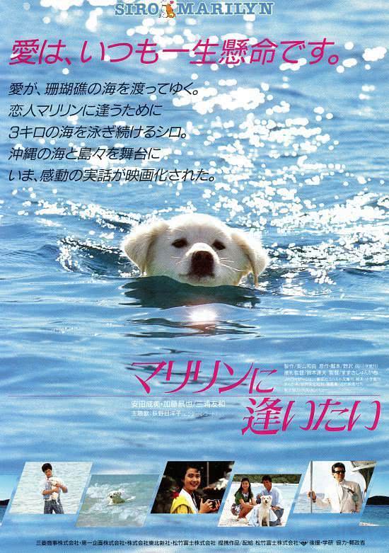 《想见玛丽琳》百度云网盘夸克下载.阿里云盘.中字.(1988)