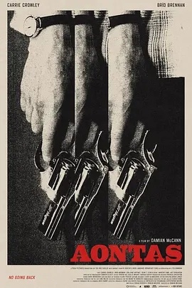 强推！爱尔兰惊悚电影《挫败的人生劫案》2025最新资源 中字高清版限时下载