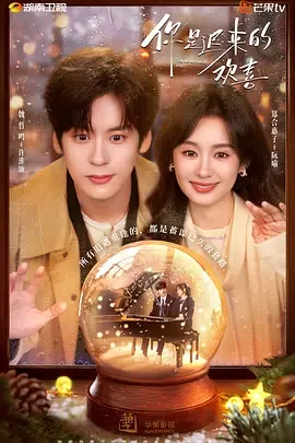 你是迟来的欢喜 You Are My Fateful Love