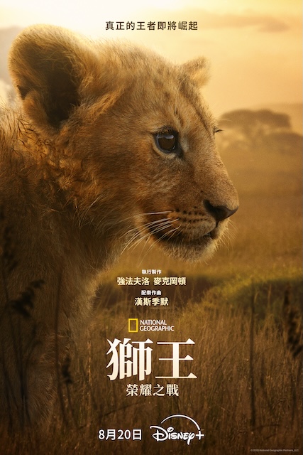 《狮王：荣耀之战》百度云网盘夸克下载.阿里云盘.中字.(2026)