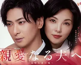致亲爱的丈夫~完美妻子的谎言~ 亲爱的丈夫~完美妻子的谎言~