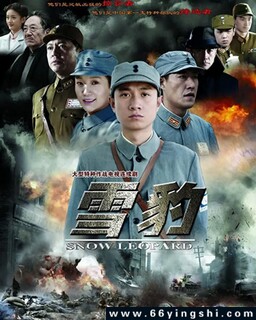 雪豹[全集]_免费下载_国剧_电影港