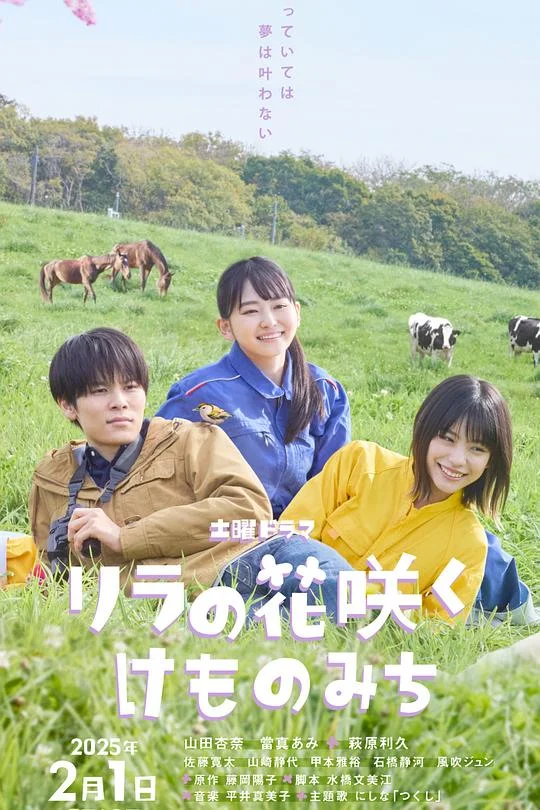 丁香花开的兽道 紫丁香花盛开的小径