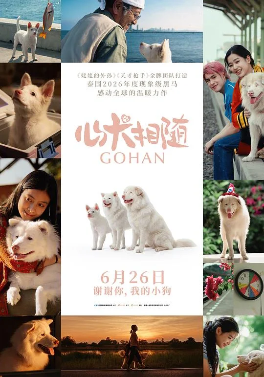 心犬相随 伴我一生，感謝你(台) / 流浪犬小饭(港) / 我们的狗狗 / Gohan