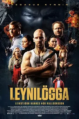 特警秘恋 Cop Secret / 天菜特警(台) / Leynilögga
