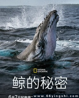 鲸的秘密_免费下载_纪录片_电影港