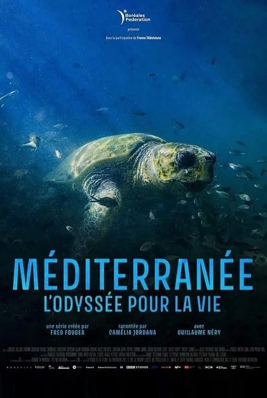 地中海 Mediterranean / Mediterranean: Life Under Siege