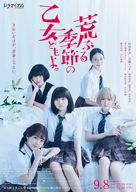 骚动时节的少女们啊 骚动时节的少女们啊真人版