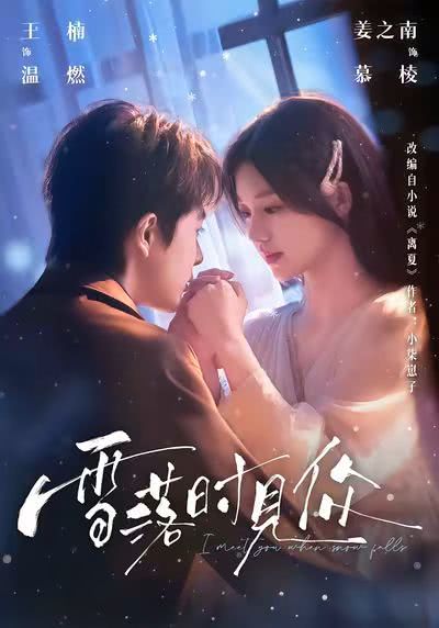 《雪落时见你》百度云网盘夸克下载.阿里云盘.中字.(2026)
