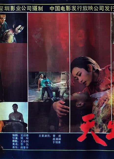 《天出血》百度云网盘夸克下载.阿里云盘.中字.(1991)