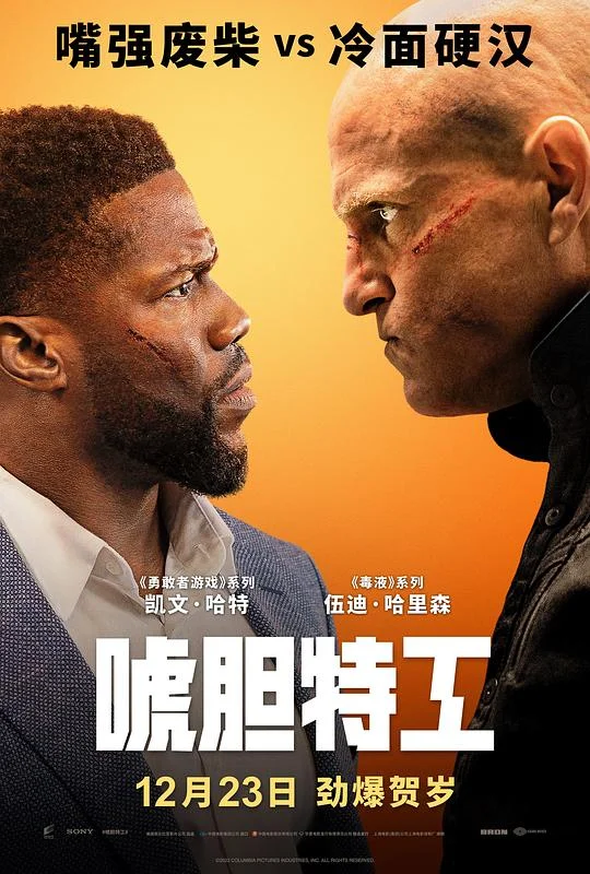 唬胆特工 来自多伦多的男人 / 多伦多来的男人 / 换命大龙凤(港) / 玩命大临演(台) / The Man from Toronto