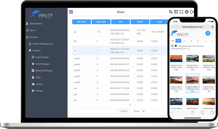 Wing FTP Server(FTP服务器) v8.2.1 企业版