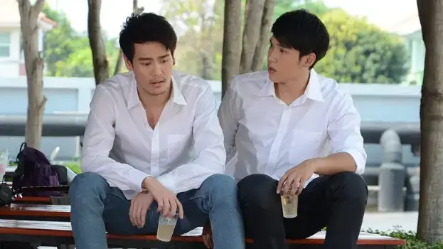 《夏日菊花茶》 เสือ ชะนี เก้ง (2016)：BL剧集剧情简介与夸克网盘资源