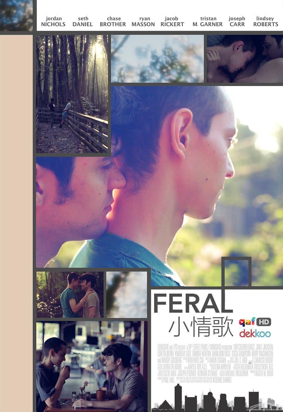 《小情歌》百度云网盘夸克下载.阿里云盘.中字.(2016)