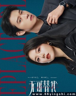 无可替代_免费下载_国剧_电影港