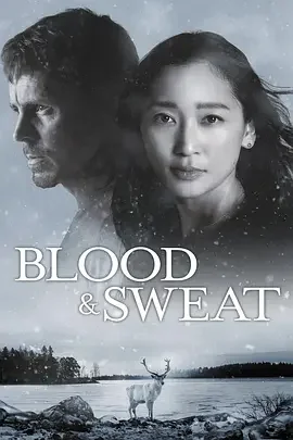 血与汗 BLOOD & SWEAT / Blood & Sweat