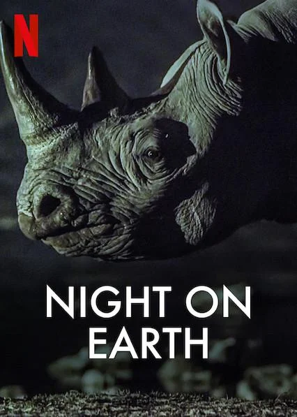地球的夜晚 夜访地球