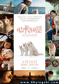 心犬相随_免费下载_最新电影_电影港