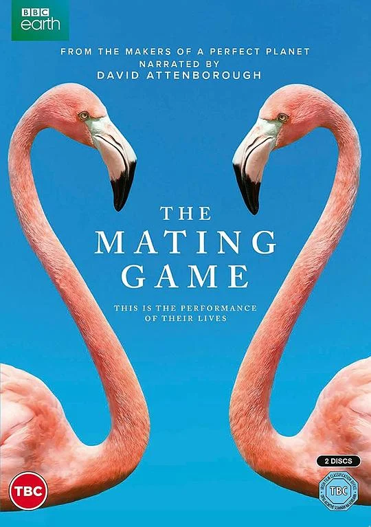 求偶游戏 The Mating Game