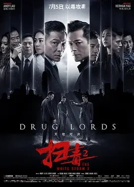 扫毒2：天地对决 扫毒2天地对决 / The White Storm 2: Drug Lords