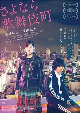再见歌舞伎町 歌舞伎町24小时时钟酒店(港) / 歌舞伎町24小时爱情摩铁(台) / Kabukicho Love Hotel