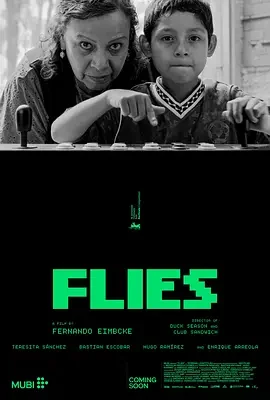 苍蝇 Flies