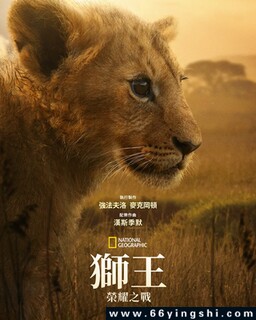 狮王：荣耀之战_免费下载_纪录片_电影港