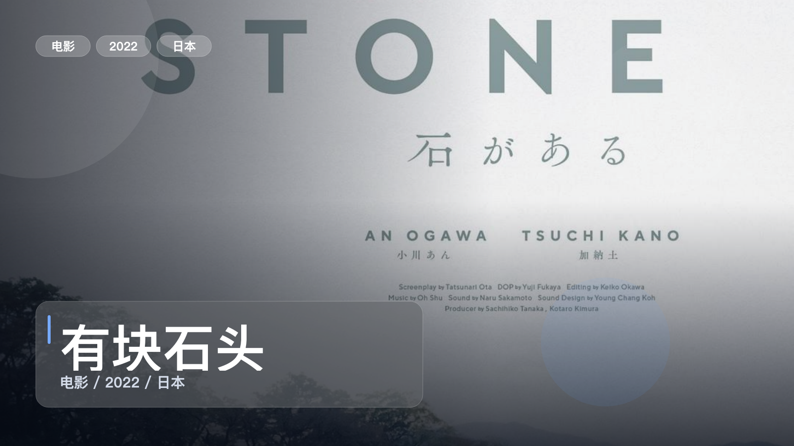 有块石头
