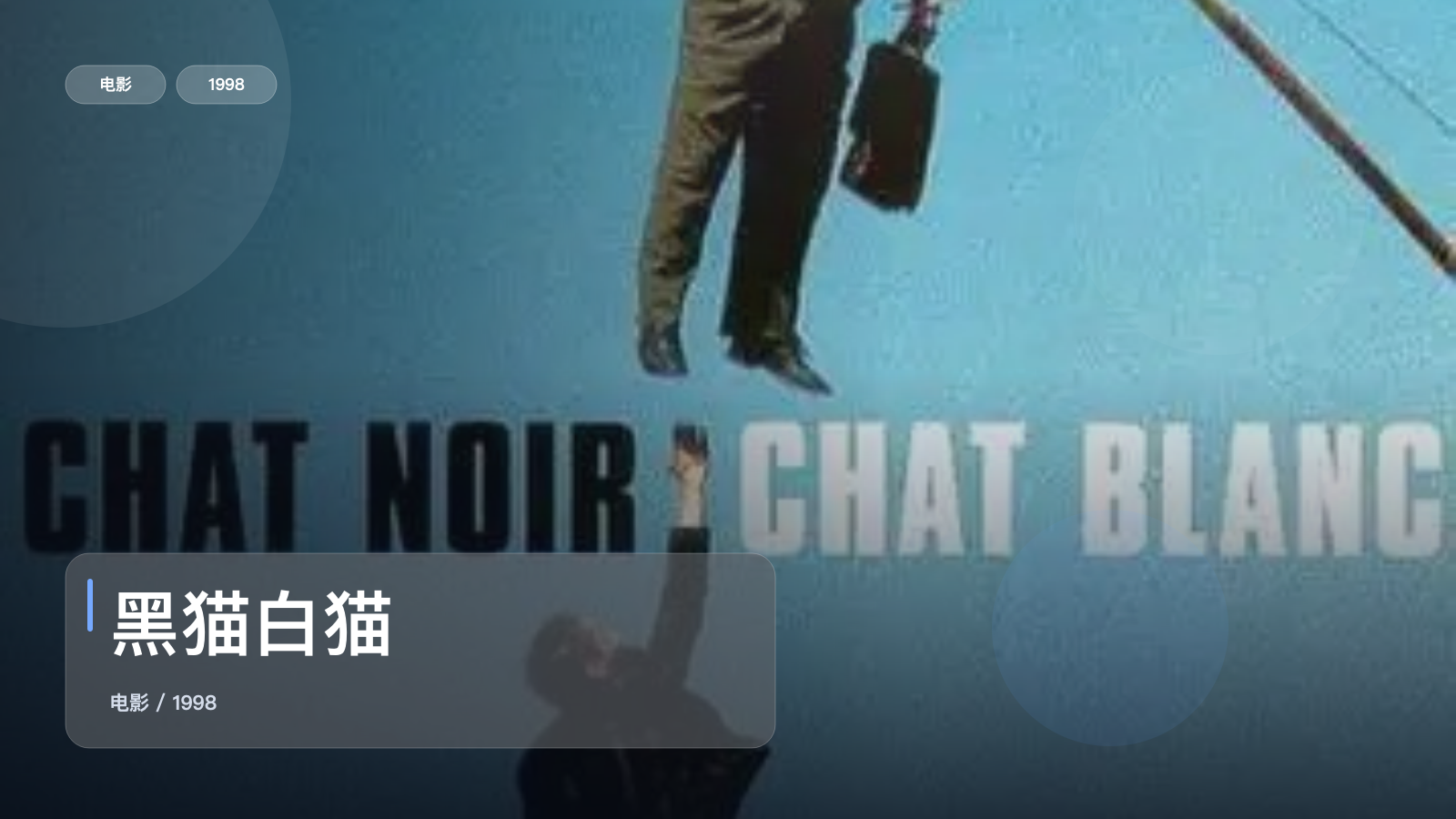 黑猫白猫