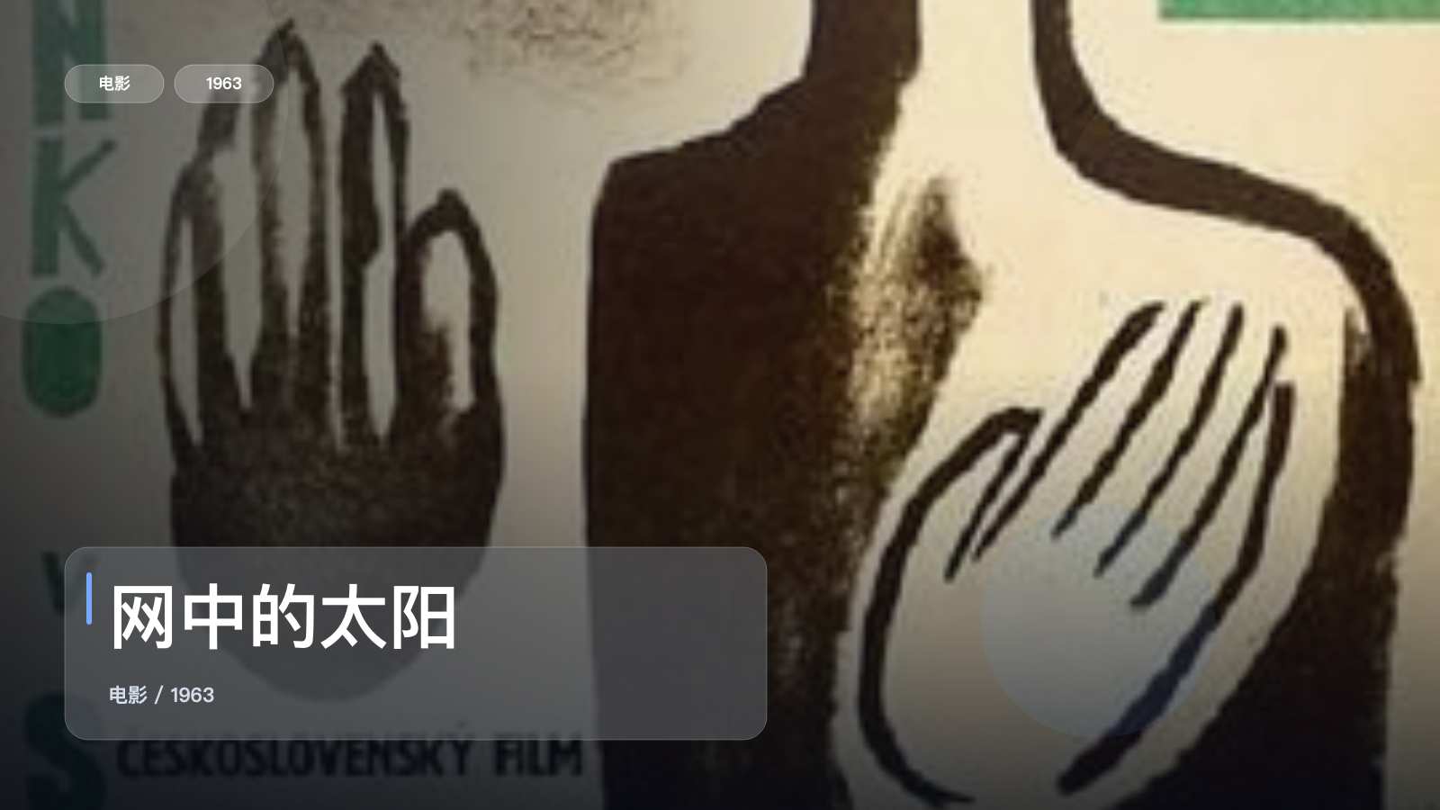 网中的太阳
